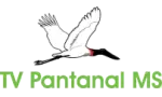 TV Pantanal MS